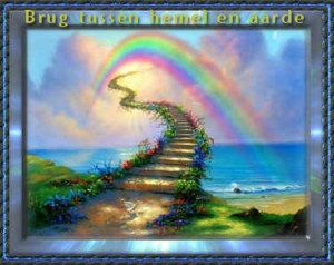 Afbeelding invoegen