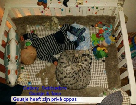 Afbeelding invoegen